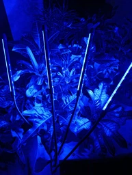Фітолампа на 4 лампи світлодіодна LED для росту рослин на прищіпці фітосвітильник для кімнатних квітів, розсади, орхідей фіто лампа фото від покупців 2