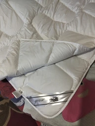 Одеяло Sei Design всесезонное полуторное 140x210 см искусственный лебяжий пух SoftDreams (4820227287635) фото от покупателей 19
