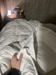 Одеяло Sei Design всесезонное полуторное 140x210 см искусственный лебяжий пух SoftDreams (4820227287635) фото от покупателей 18
