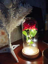 Троянда в колбі з підсвічуванням червона троянда під куполом з LED підсвічуванням вічна троянда на пластиковій підставці фото від покупців 11
