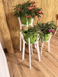 Комплект підставок для вазонів WoodDecor з дерева Білий фото від покупців 3