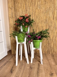 Комплект підставок для вазонів WoodDecor з дерева Білий фото від покупців 1
