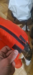 Зимовий комбінезон з поясом для собак Dogs Bomba малиновий, розмір 7