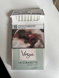 Блок сигарет Vogue La Cigarette Green x 10 пачек (4820001987379)
