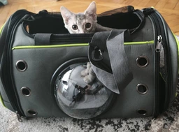 Сумка переноска для кота кошки собаки домашних животных до 8 кг с окошком иллюминатором и ремешком на плечо кошачьи сумки для переноски котов кошек маленьких собак котенка серая (002166) фото от покупателей 9