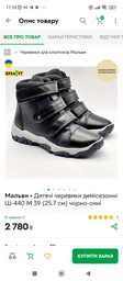 Дитячі та підліткові демісезонні черевики для хлопчика Мальви Ш-440 Р 32