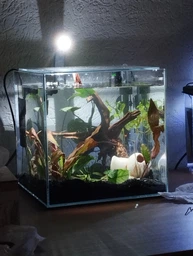 Акваріум Collar aGLASS Nano 27 л (0395) фото від покупців 1