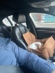 Автокресло автогамак лежак со съемным чехлом для собак и кошек 50х50 см Incor Коричневый (К-52) фото от покупателей 8