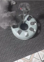 Іграшка для котів трек ігровий з мишкою Trixie Crazy Circle 24*29 см фото від покупців 5