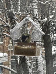 Кормушка для птиц на окно House_for_birds "Теремок"