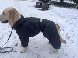 Комбінезон Pet Fashion Cold для собак бірюза XS 4823082425297 фото від покупців 1