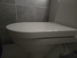 Сиденье - крышка для унитаза KLECHNIOWSKA CEZAR CS / DS EASY Soft Close полипропилен