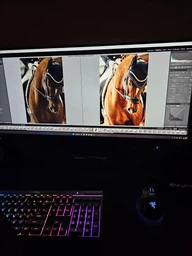 Монитор 40" MSI MAG401QR - WQHD (Ultrawide 2K) IPS / 155Hz / 1 мс (MPRT) / 8-Bit + FRC / sRGB 118% / Adaptive-Sync / Night Vision / HDR Ready / USB Type-C 65W фото от покупателей 4