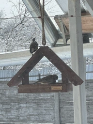 Кормушка для птиц подвесная House_for_birds "Радуга" дерево