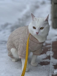Костюм для котов (кошек) флисовый Нордик M Голубой