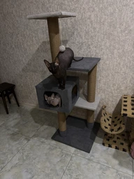 Домик когтеточка для кота дряпка для кошки Мур-Мяу Алиса 60х60х138 см в джутовой веревке Темно коричнево-бежевый фото от покупателей 4