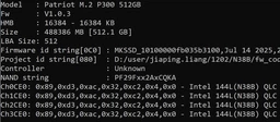 Твердотельный накопитель SSD Patriot P300 128Gb M.2 2280 PCI Express 3.0 x4 3D TLC NAND P300P128GM28 фото от покупателей 5