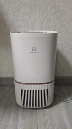 Очиститель воздуха Electrolux EPO50351SW фото от покупателей 1