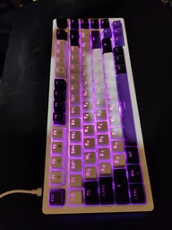 Игровая клавиатура HATOR Hellyberry HK75 White-Violet фото от покупателей 1
