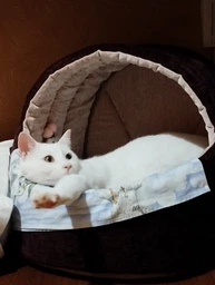 Будинок лежанка для котів та собак Animals_joy Кошик М 46*42 см(031)