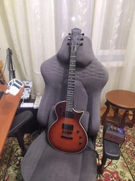 Электрогитара Fesley FLP350 SB (комплект с комбоусилителем портативным на 5 ват) фото от покупателей 1