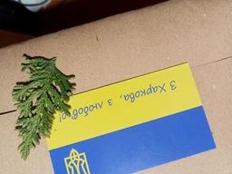 Корейська мова. Прописи (Українське видання) фото від покупців 2