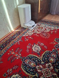 Робот-пилосос Dreame Bot D20 Ultra (RLD31SE) фото від покупців 5