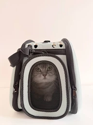 Сумка переноска для кота кошки котят собаки домашних животных до 8 кг с окошком и ремешком на плечо кошачьи сумки для переноски котов кошек маленьких собак черная 42x28x32 см (002169) фото от покупателей 11