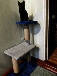 Когтеточка для кота дряпка Мур-Мяу Аккорд 44х30х87 см для кошек в сизалевой веревке Серо-синий фото от покупателей 3
