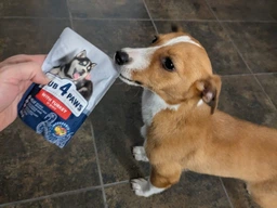 Вологий корм Club 4 Paws для цуценят Усіх порід з Індичкою в соусі Преміум 100 г