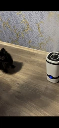 Зволожувач повітря великий для дому Ultrasonic Air Humidifier настільний з аромадифузором 4Л фото від покупців 19