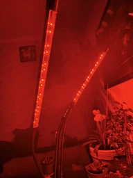 Фитолампа USB для роста растений на 4 лампы с подставкой, светодиодная LED фито лампа светильник для комнатных цветов, рассады, орхидей