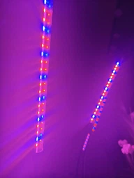 Фитолампа USB для роста растений на 4 лампы с подставкой, светодиодная LED фито лампа светильник для комнатных цветов, рассады, орхидей фото от покупателей 2
