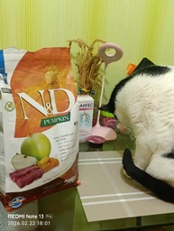 Farmina N&D Grain Free Pumpkin Venison & Apple Adult беззерновой корм для взрослых кошек с олениной, тыквой и яблоком, 300г