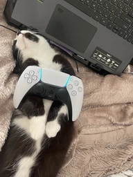 Силиконовые накладки на аналоговые стики Honson для джойстика PS5 Dualsense оранжевые комплект 8 шт