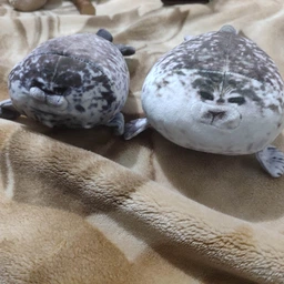 Плюшевая мягкая игрушка Тюлень Seal (20 см) тренды TikTok декор для детской комнаты подарок на день рождения фото от покупателей 1
