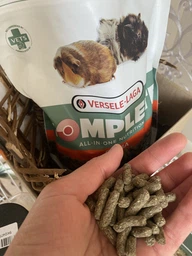 Корм для гризунів, морських свинок КАВИА КОМПЛІТ Complete Cavia 2,5 кг Versele-Laga BGL-VL-17