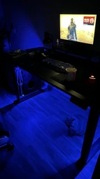 Стол с электрорегулировкой высоты с подсветкой Двухмоторный Flexi Desk White 160x75 см 28049 фото от покупателей 5
