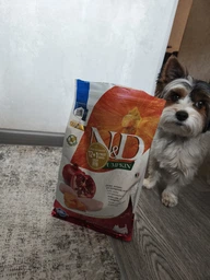 Беззерновой сухой корм Farmina N&D Pumpkin GF Dog Chicken&Pomegranate Adult Mini для собак мелких пород с курицей, тыквой и гранатом, 7 кг