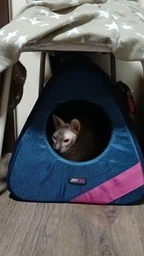 Joyser Cat Home ДЖОЙСЕР будиночок для котів, іграшка кажан з котячою м`ятою фото от покупателей 1
