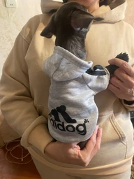 Толстовка для собак Adidog 2XL Синий фото от покупателей 1