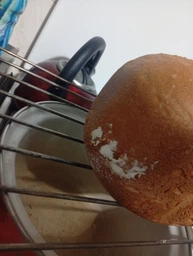 Хлібопічка TEFAL Pain et Delice PF240E38 фото від покупців 11