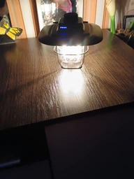 Ліхтар Westinghouse Retro 4W LED Filament WF242 Type-C з функцією Power Bank (WF242-CB)