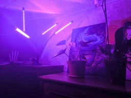 Фитолампа для растений полного спектра для рассады LED лампа для фотосинтеза