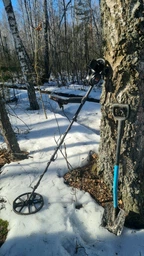 Металлоискатель Minelab Equinox 900