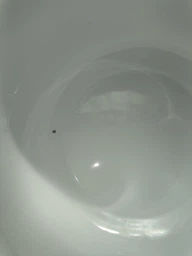 Каструля INTEROS 3,1л d=18см Мохіто Т 3033 00070705 фото від покупців 1