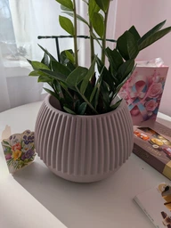 Вазон Ø-10см, 16*12см, 0,5л, "Бохо" Алеана біла троянда SE-aleana-boh-01 фото від покупців 2