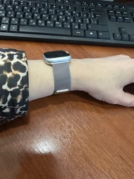 Металевий ремінець Fruct Milanese Loop Band для Apple Watch 38/40/41/42 mm Silver