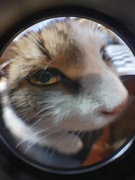 Объектив линзы для смартфона 3в1 Широкоугольная, Макро, Рыбий глаз (Fish Eye) Комплект PAVLYSH FE1