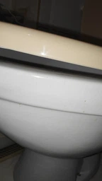 Сиденье для унитаза Сиданит S-21 Белый фото от покупателей 3